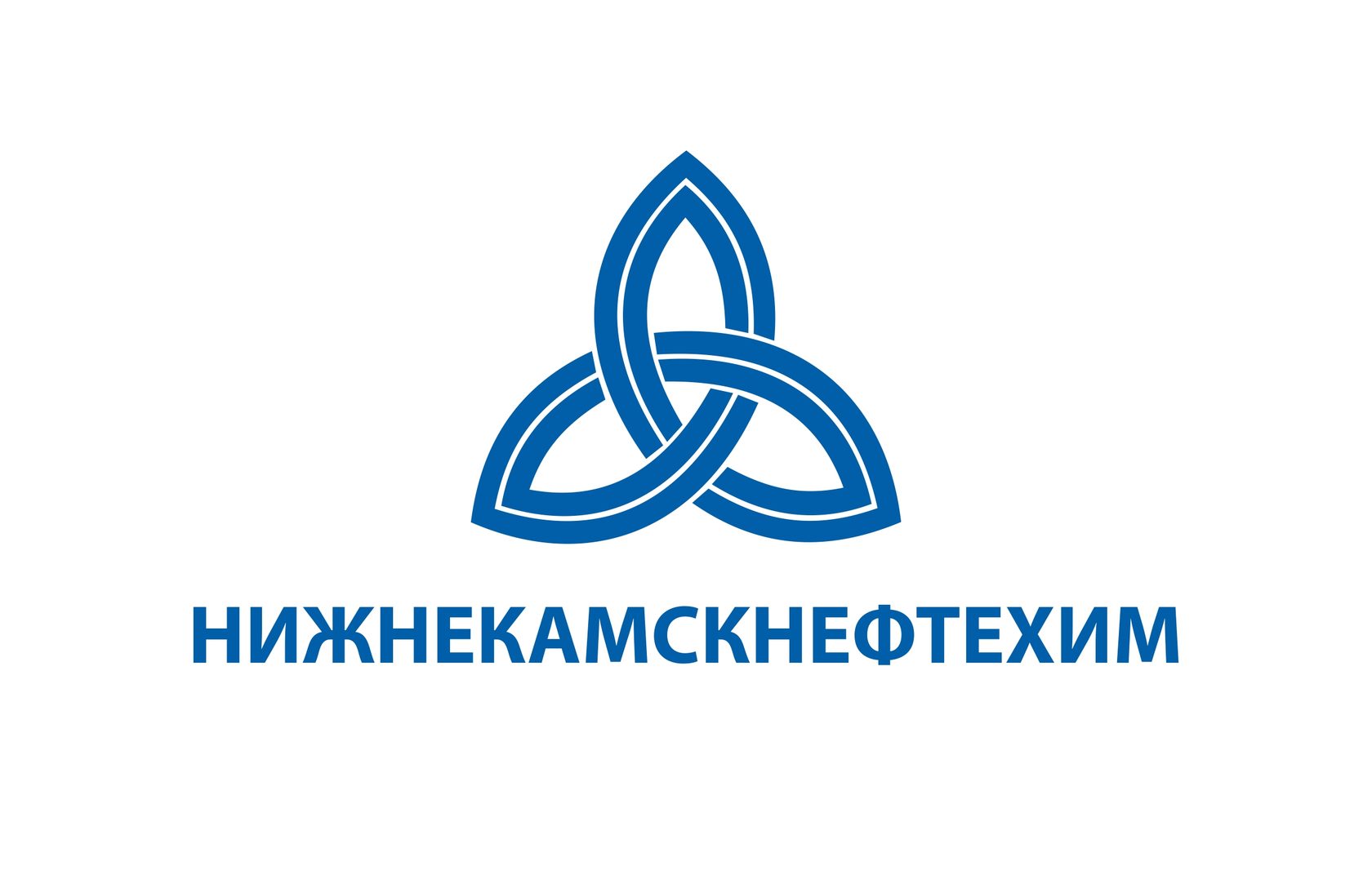 ПАО Нижнекамск Нефтехим